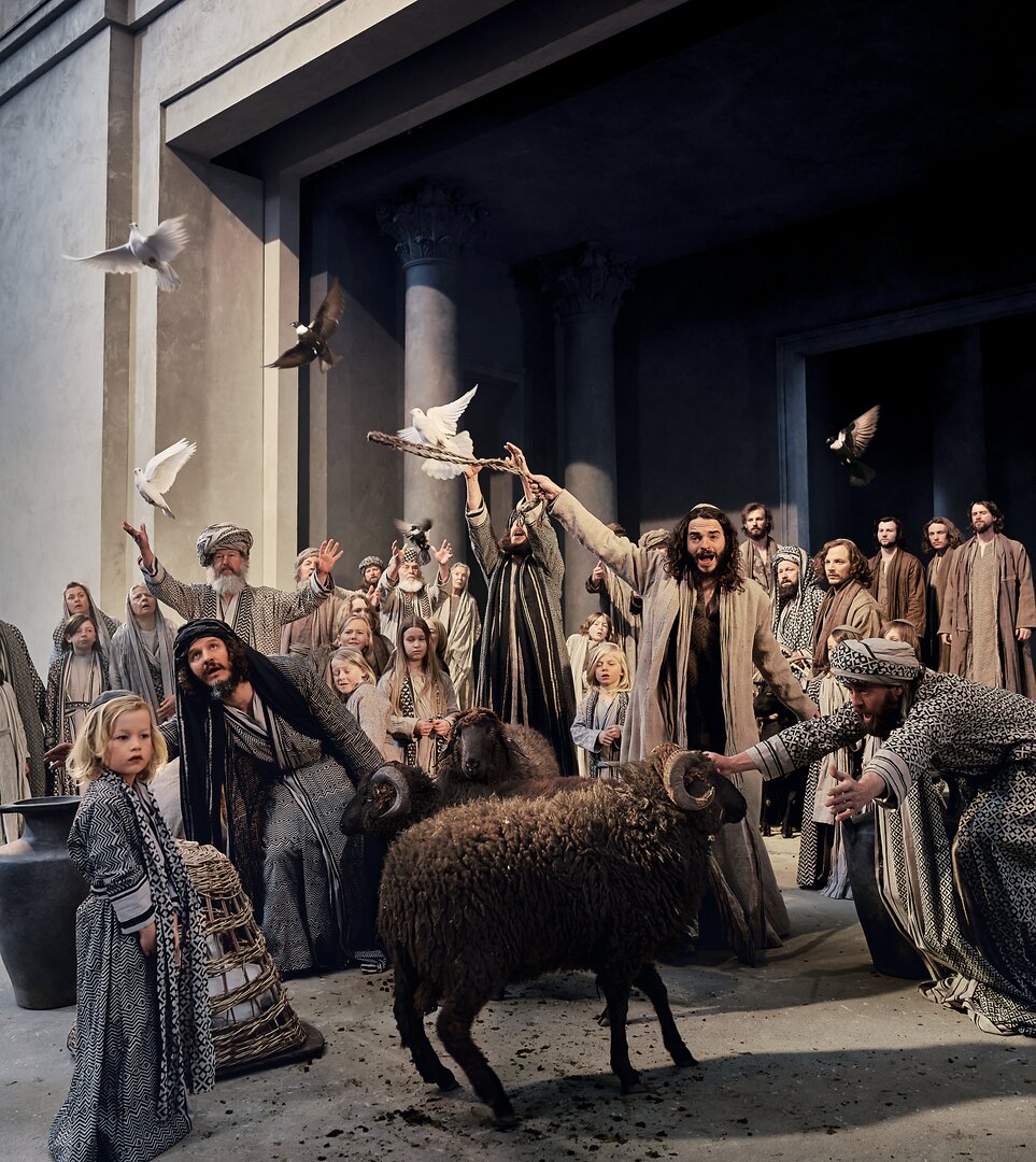 © Birgit Gudjonsdottir