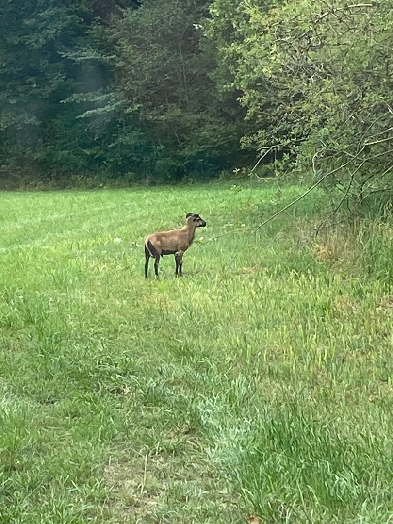 © Polizei Wolfratshausen