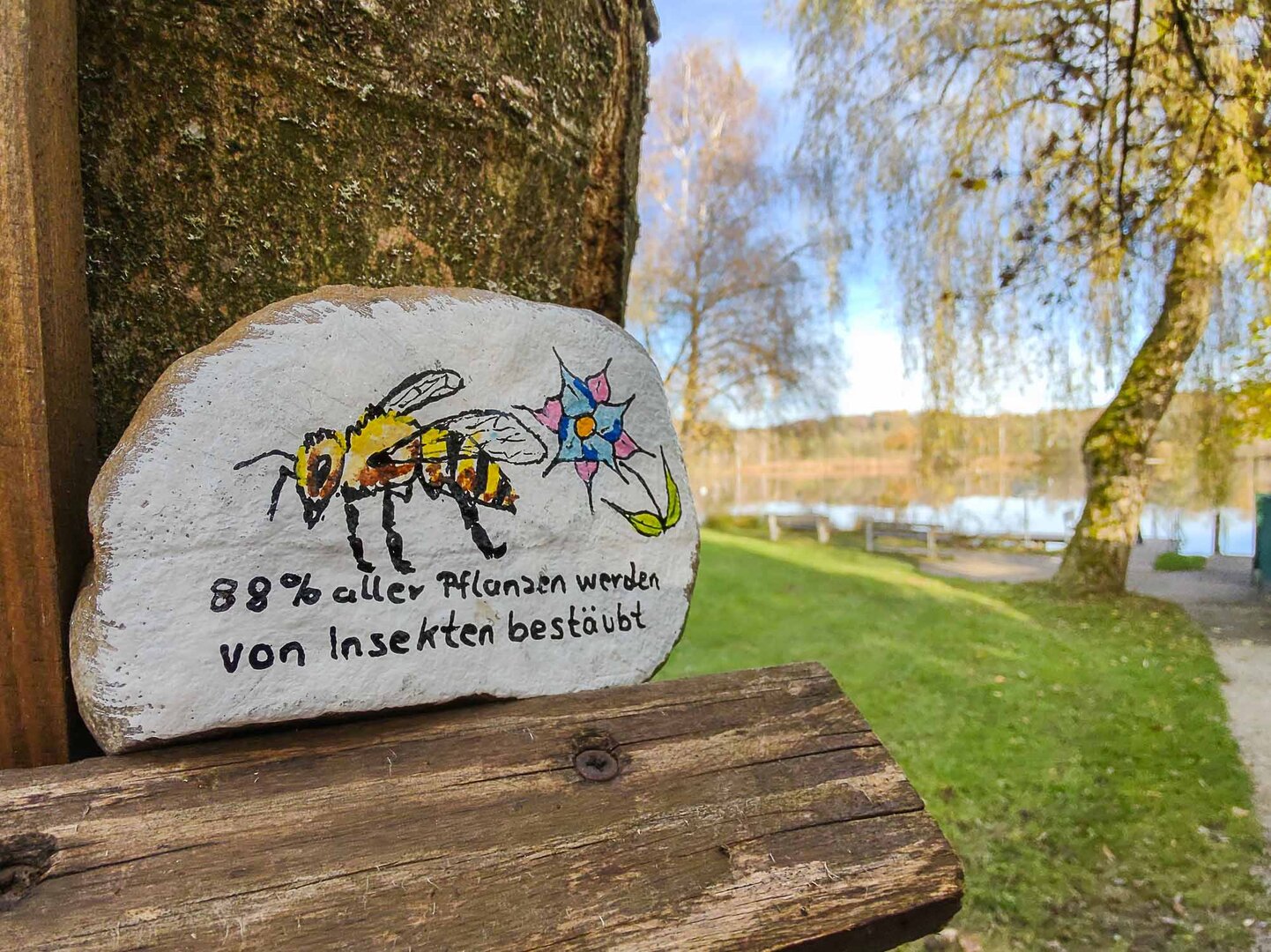 © Greenpeace Weilheim