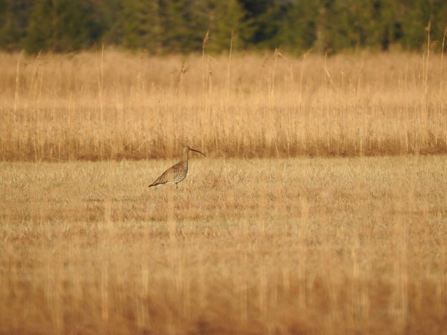 © Landratsamt / Korschefsky