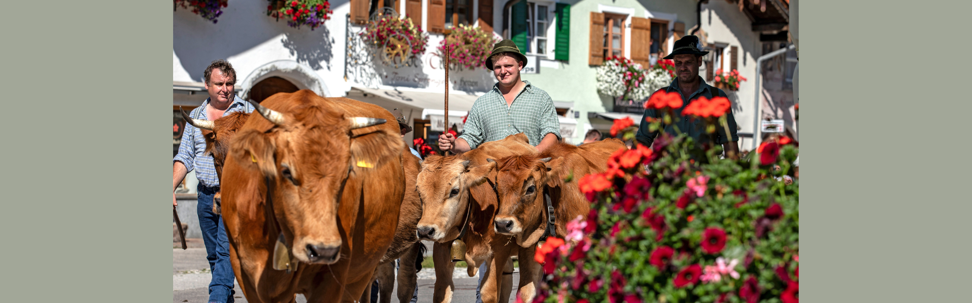 © Alpenwelt Karwendel/ Hubert Hornsteiner