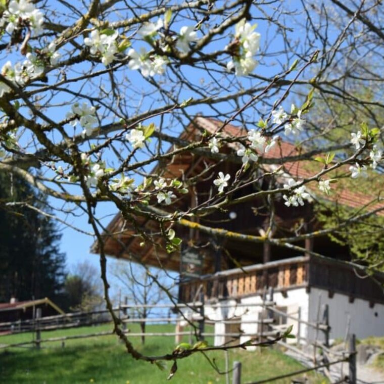 © Freilichtmuseum Glentleiten