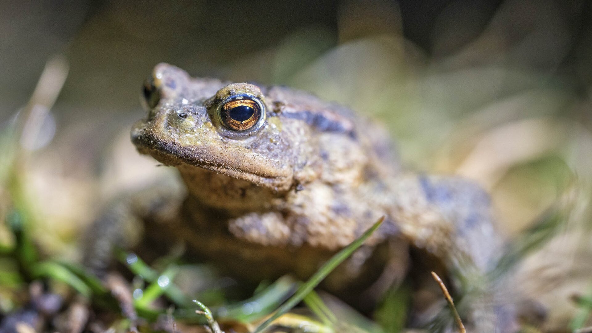 © BUND Naturschutz Weilheim-Schongau