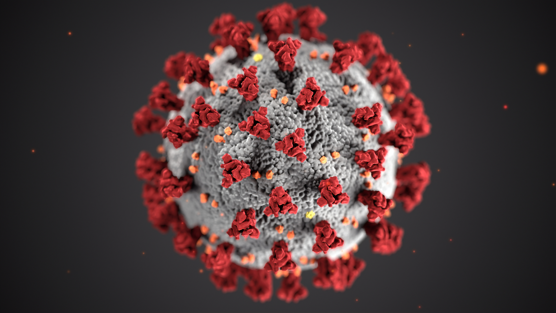 This illustration, created at the Centers for Disease Control and Prevention (CDC), reveals ultrastructural morphology exhibited by coronaviruses. Note the spikes that adorn the outer surface of the virus, which impart the look of a corona surrounding the virion, when viewed electron microscopically. A novel coronavirus, named Severe Acute Respiratory Syndrome coronavirus 2 (SARS-CoV-2), was identified as the cause of an outbreak of respiratory illness first detected in Wuhan, China in 2019. The illness caused by this virus has been named coronavirus disease 2019 (COVID-19). | © Unsplash / CDC