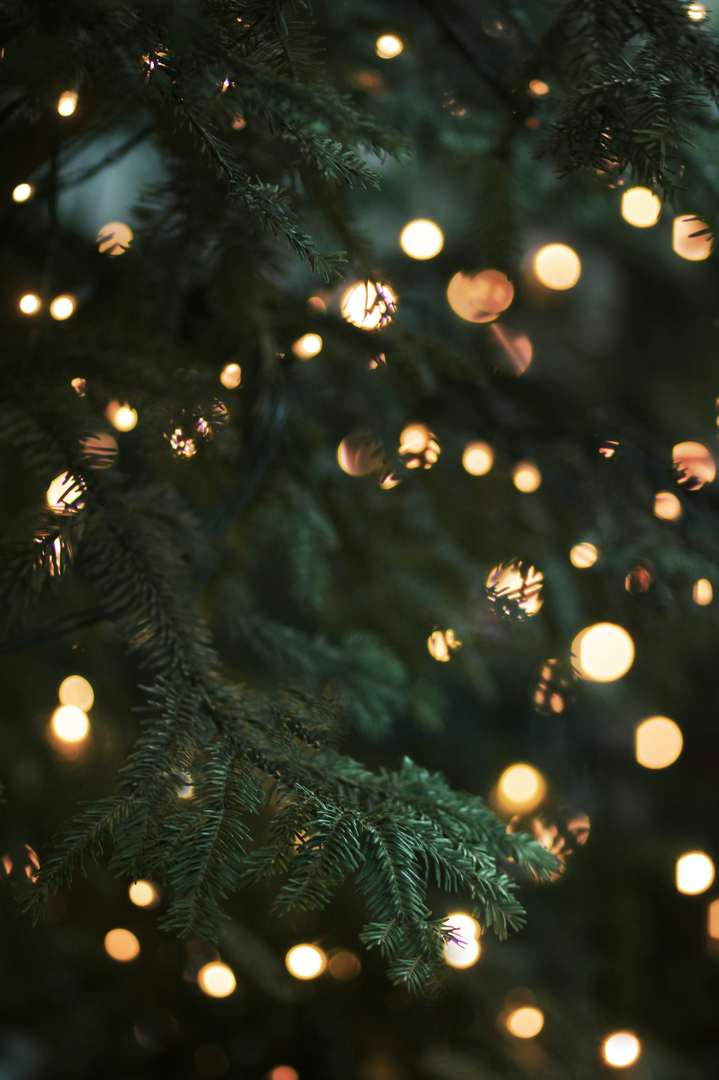 Christmas tree lights | © Unsplash / Morgane Le Breton