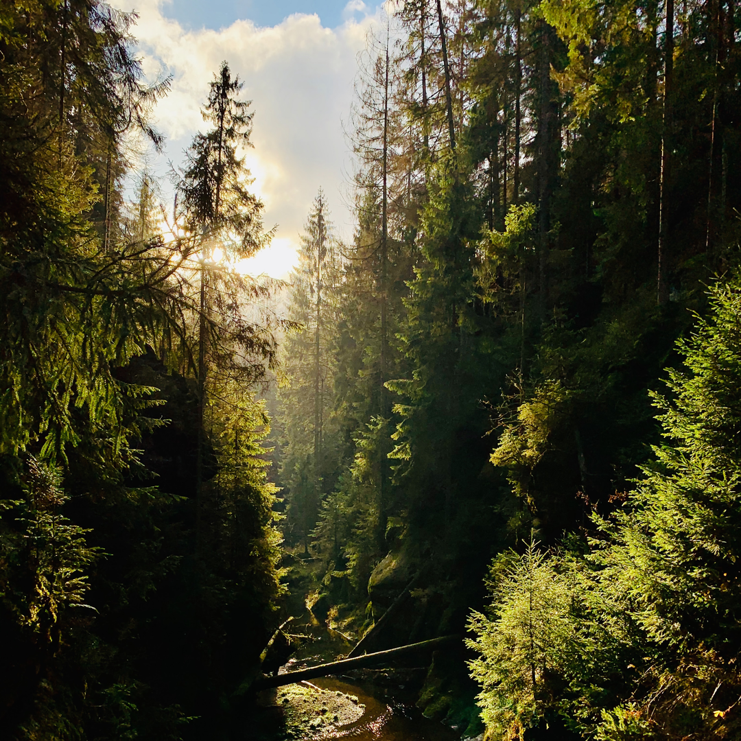 © Unsplash / Christian Beyer