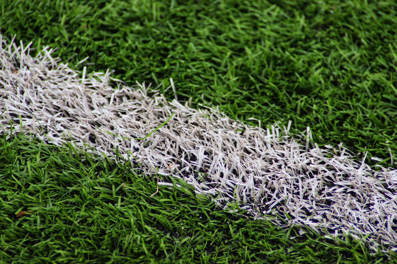 © Unsplash / Jonas Augustin