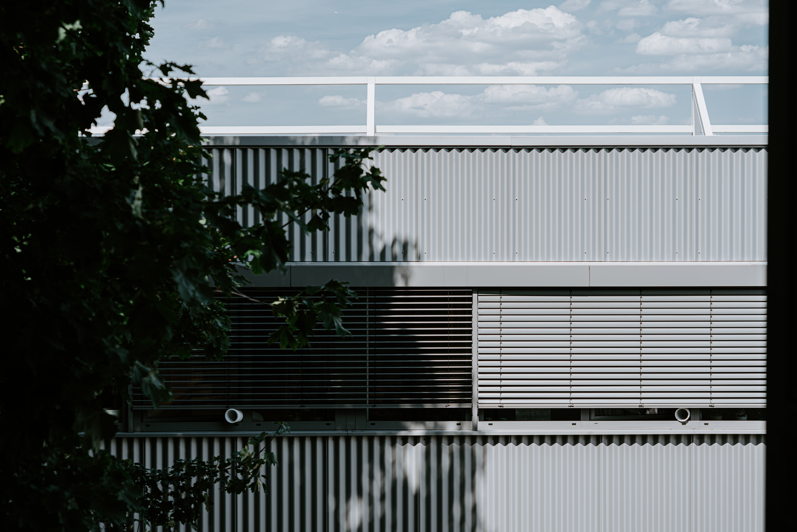 © Unsplash / Claudio Schwarz