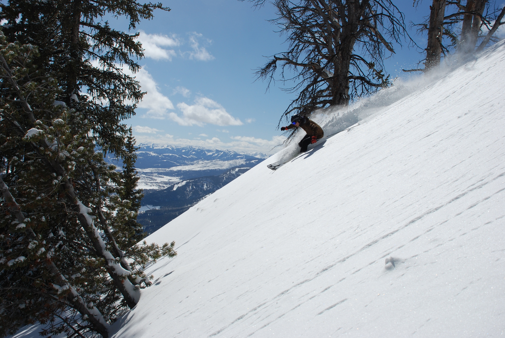 While enjoying some light lunch high up in the Tetons, we caught this wild, undomesticated skier flying down the hill at breakneck pace. Would he have been so free and unconcerned with his surroundings had he known he was being watched? Almost certainly. | © Unsplash / Max Kramer