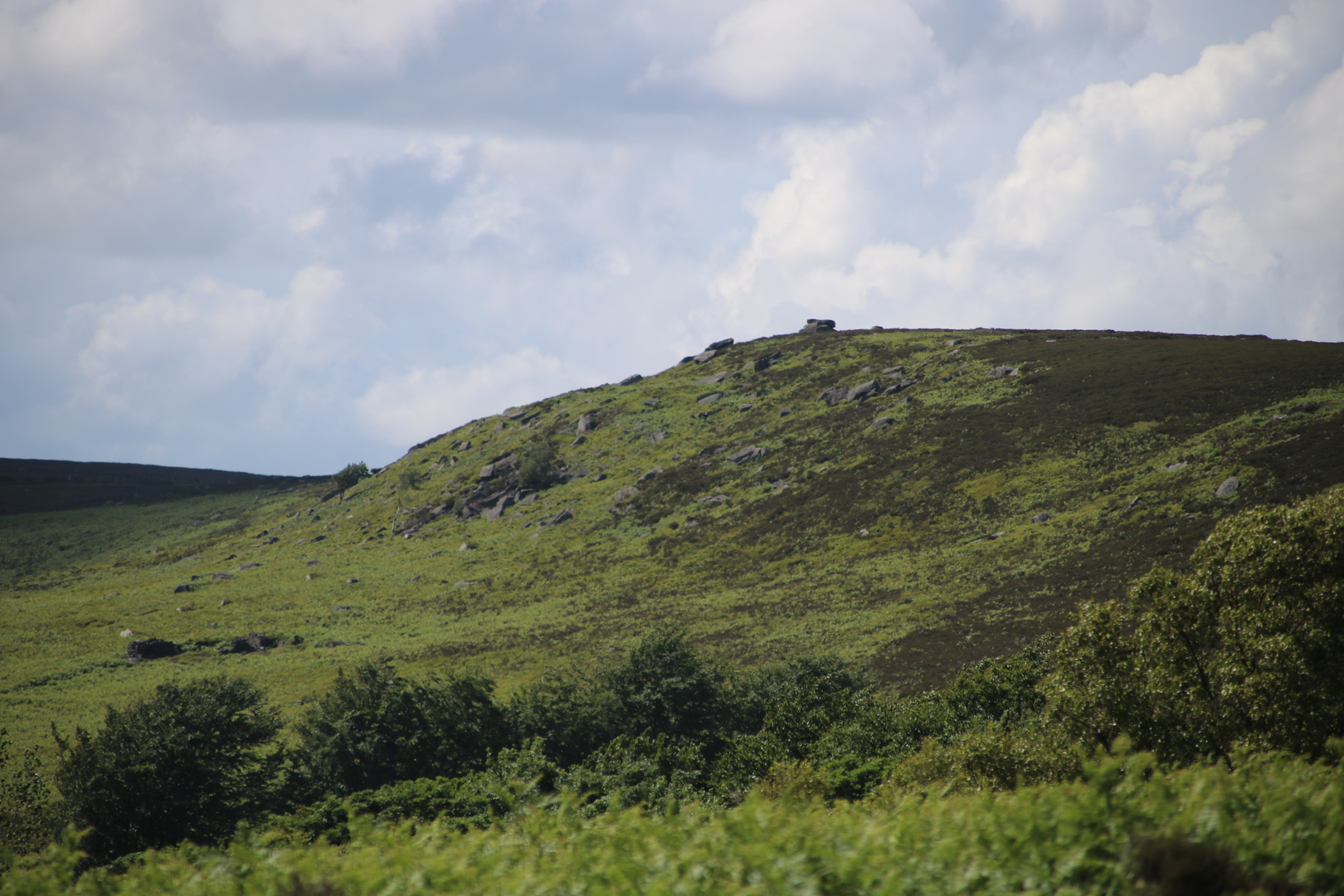 On The Moor (3/6) | © Unsplash / Daniel McNestry