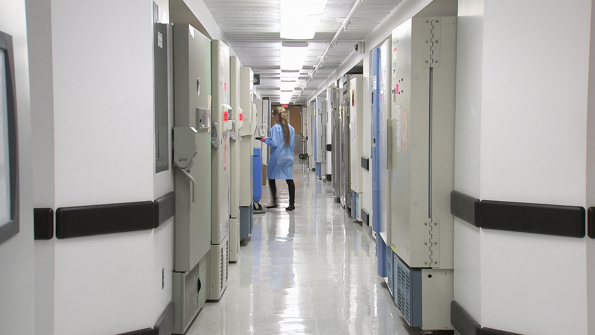 After having stored a cache of newly received influenza samples, and transferring them to cold storage, this Centers for Disease Control and Prevention (CDC) scientist was shown here, walking down one of the hallways in the Influenza Division’s laboratory facility, which was lined with other specimen freezers. | © Unsplash / CDC