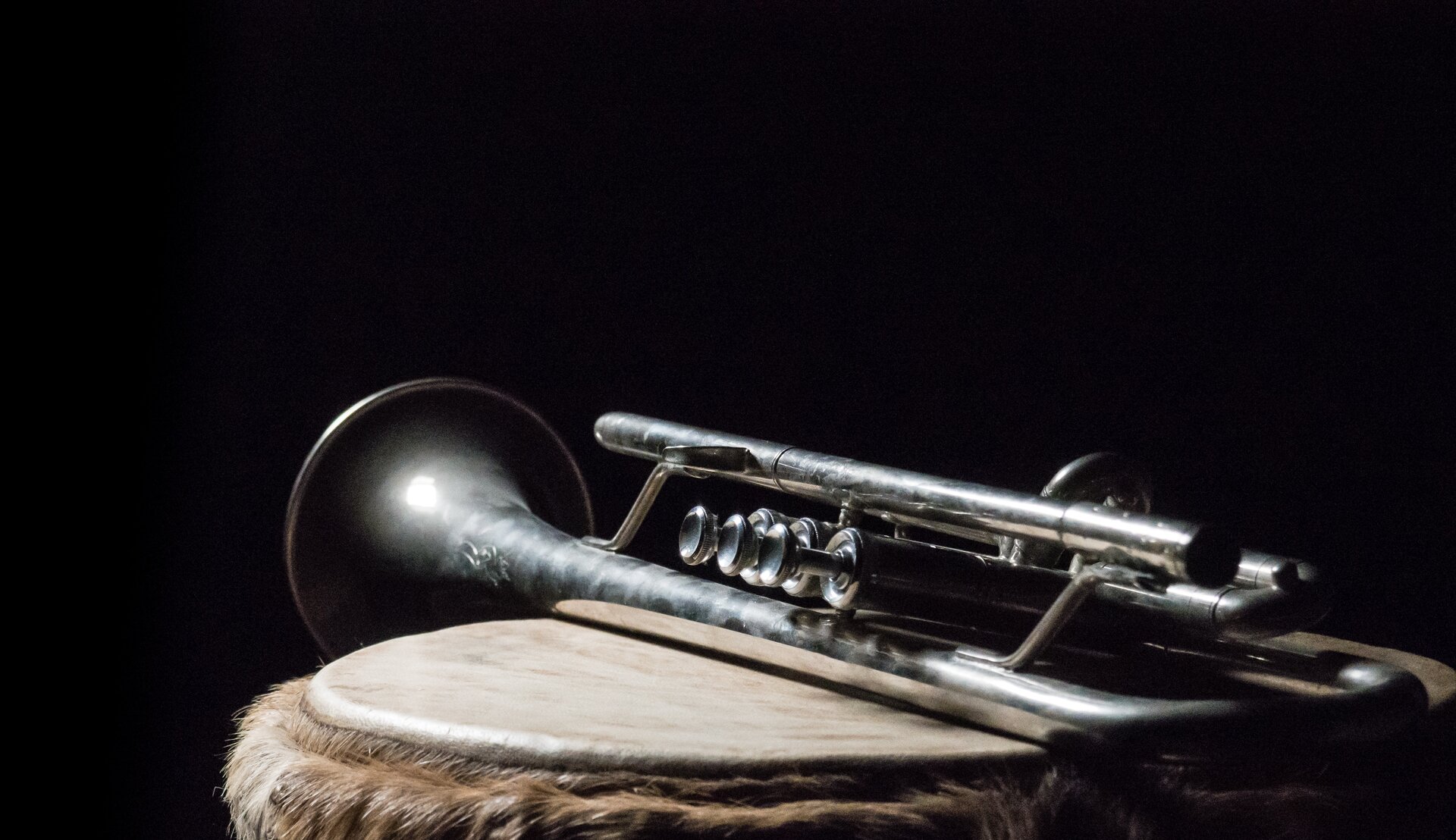 The theme for the next meeting of our Photoclub is music. I took an old trumpet and put it on  top of a Djembé.