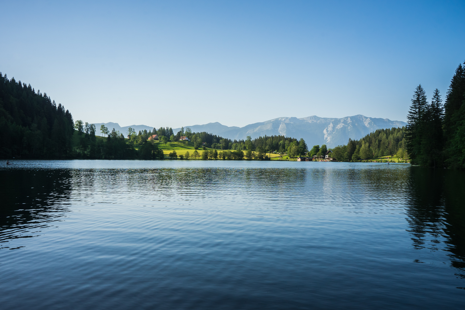 © Unsplash / Leonhard Niederwimmer