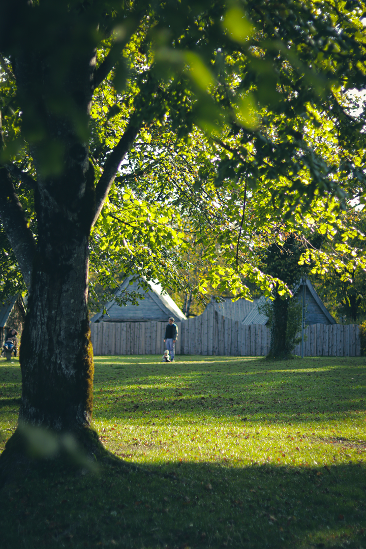 © Unsplash / Santosh Ghimire