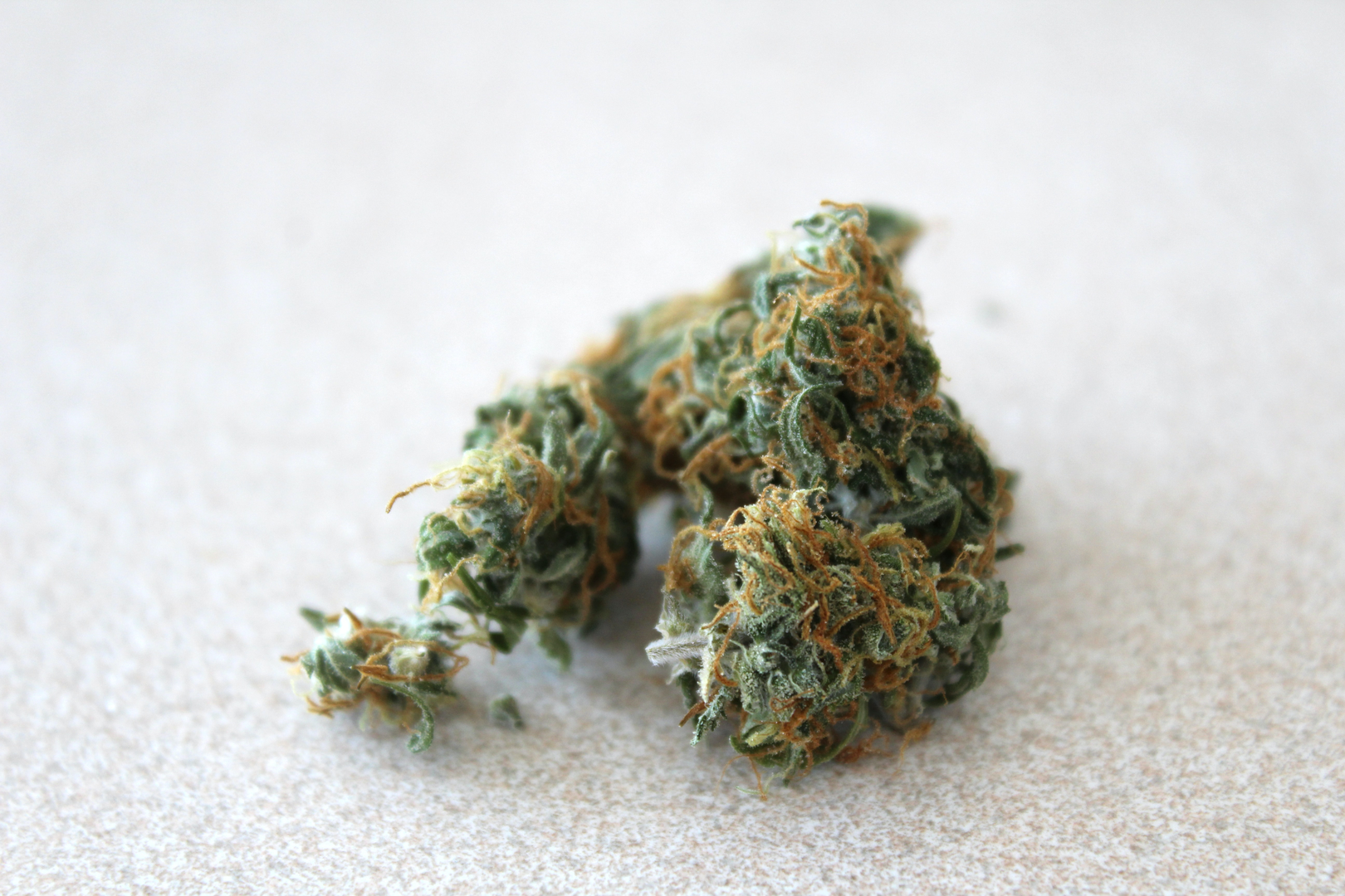 © Unsplash / Camila Serey