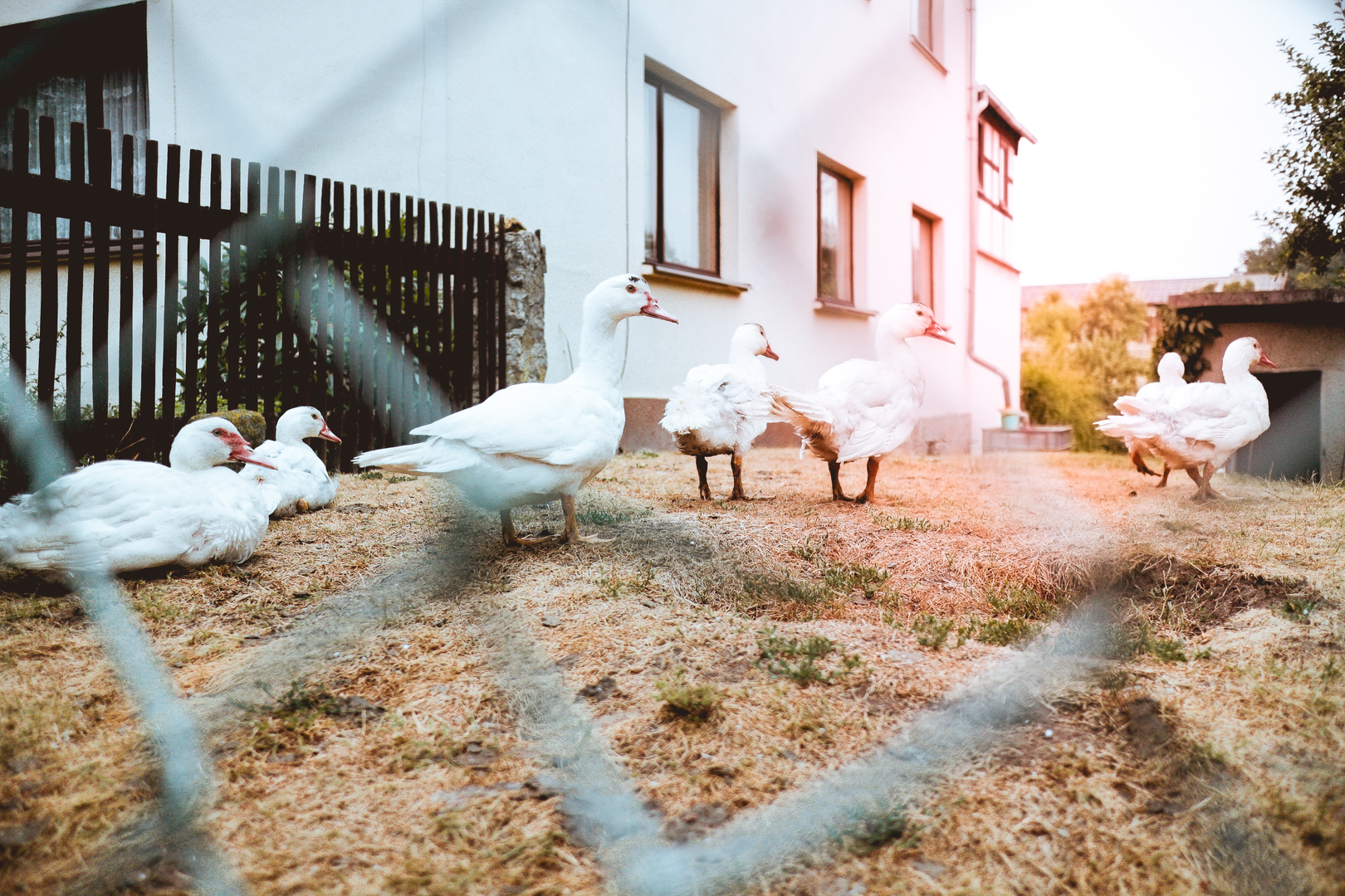 The Crew | © Unsplash / Niklas Hamann