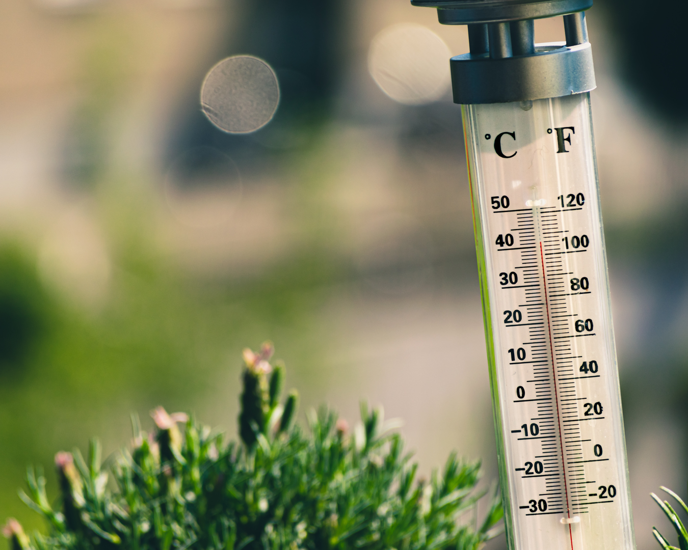 Thermometer 41ºC/106ºF
 | © Unsplash / Jarosław Kwoczała