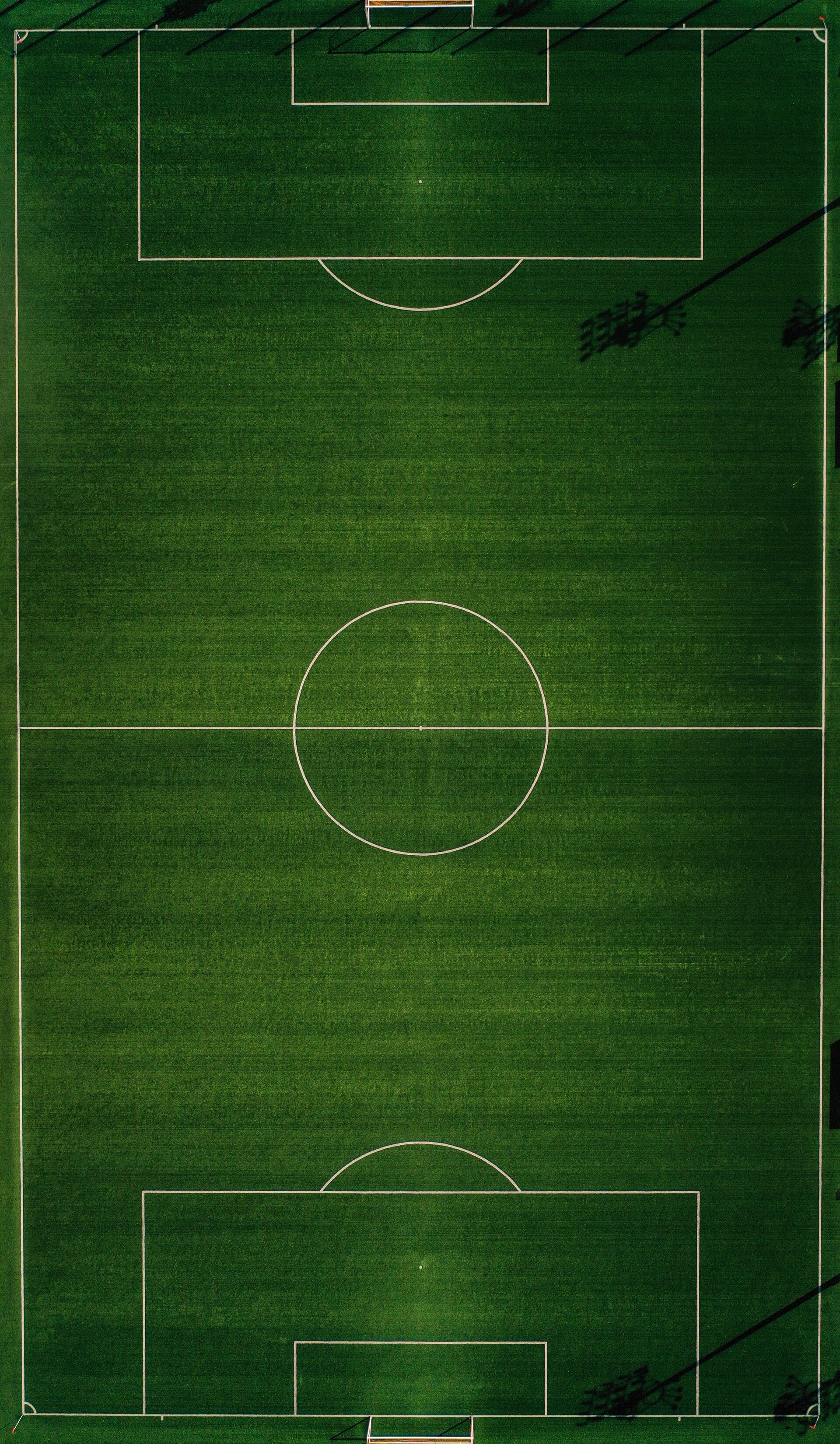 Field View