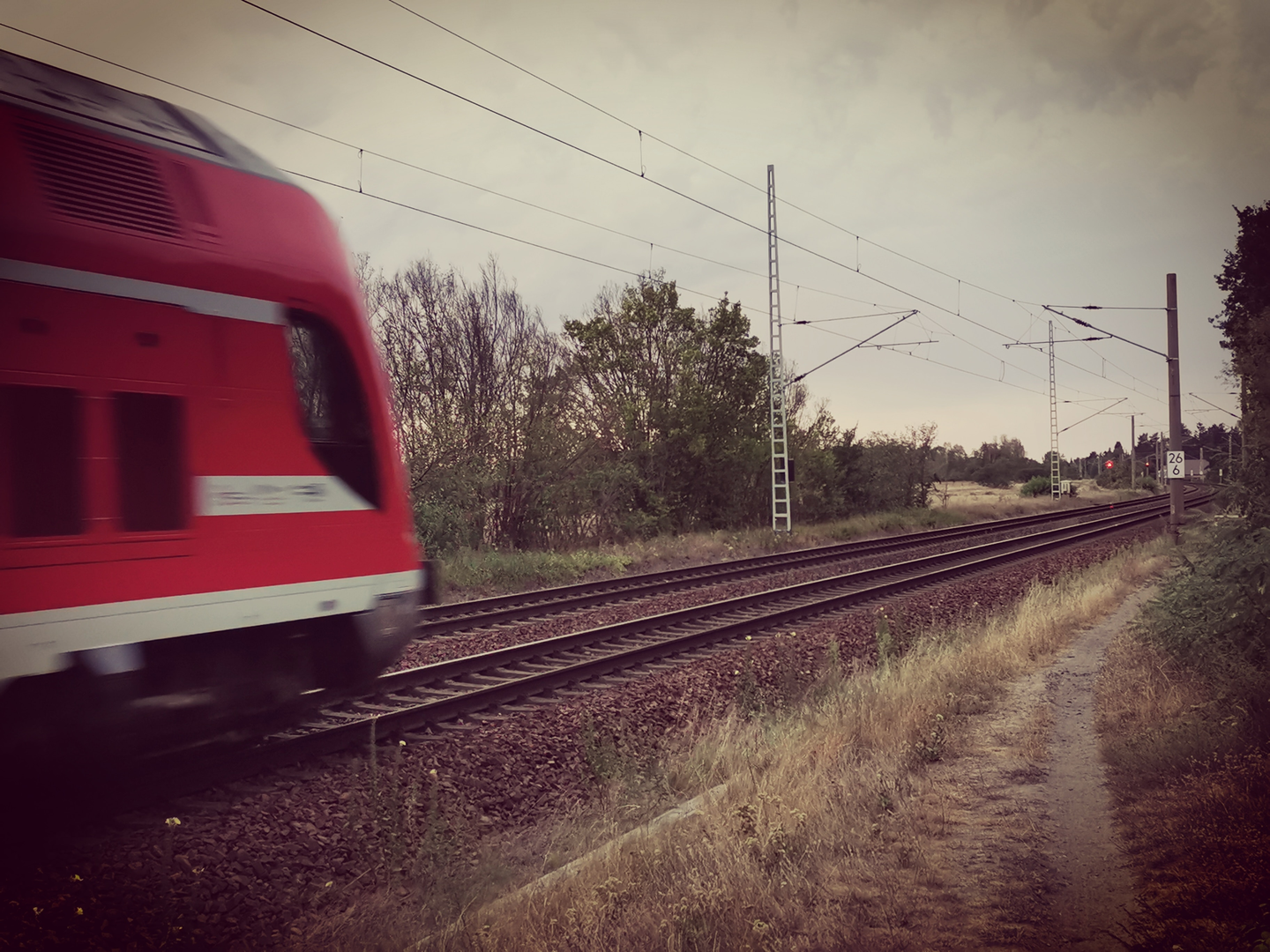 Nele Art  | © Unsplash / Nele Art