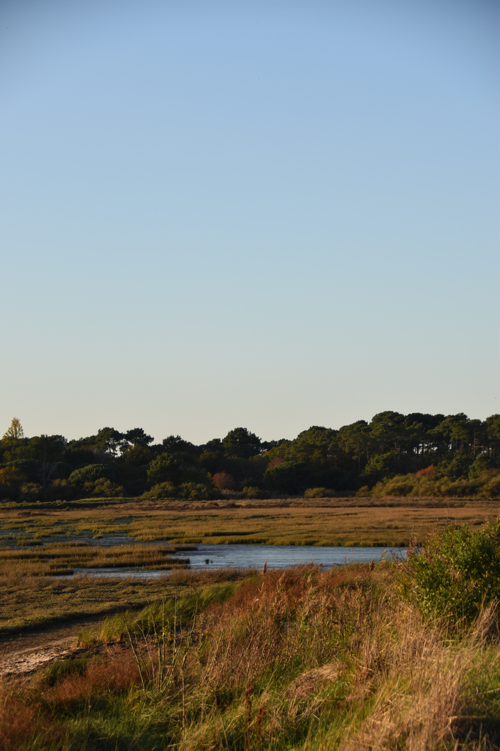 © Unsplash / Pauline 🦋📷