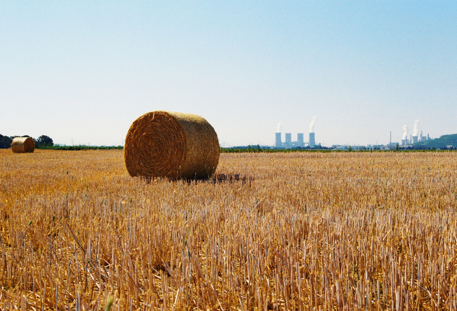 Canon AE-1
Kodak Gold 200 | © Unsplash / Chris Weiher
