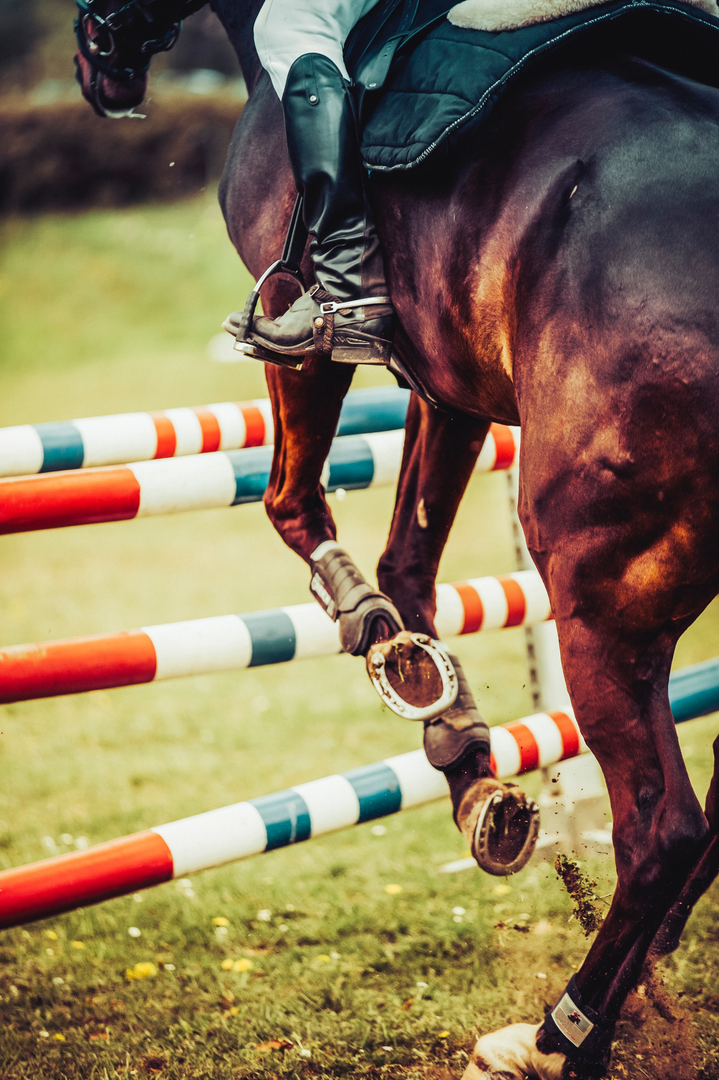 Horse jumping show jumping | © Unsplash / Markus Spiske