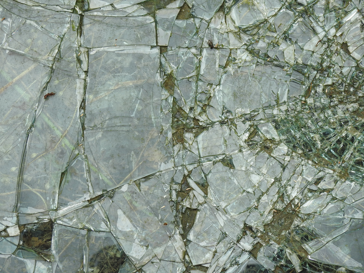 broken glass | © Unsplash / Kellie Shepherd Moeller