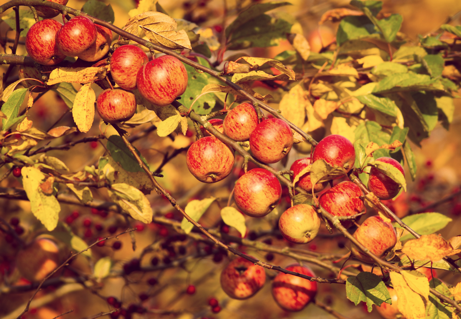 © Unsplash / MARIOLA GROBELSKA