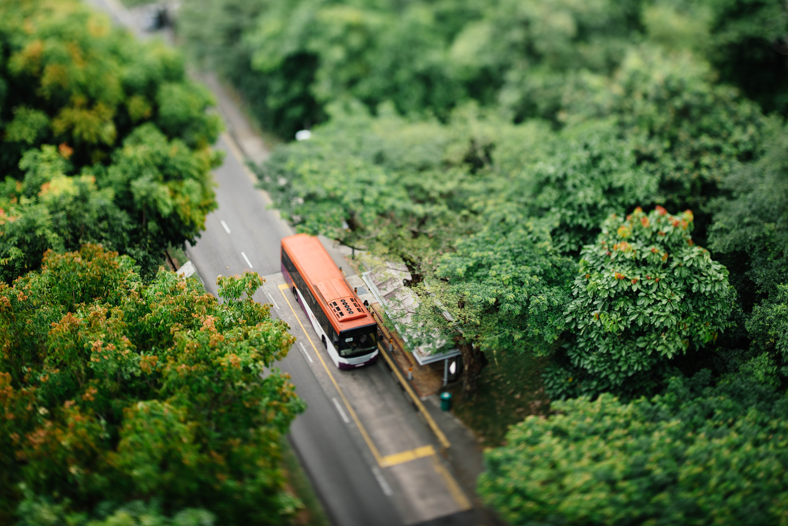 Bus at a stop from above | © Unsplash / CHUTTERSNAP