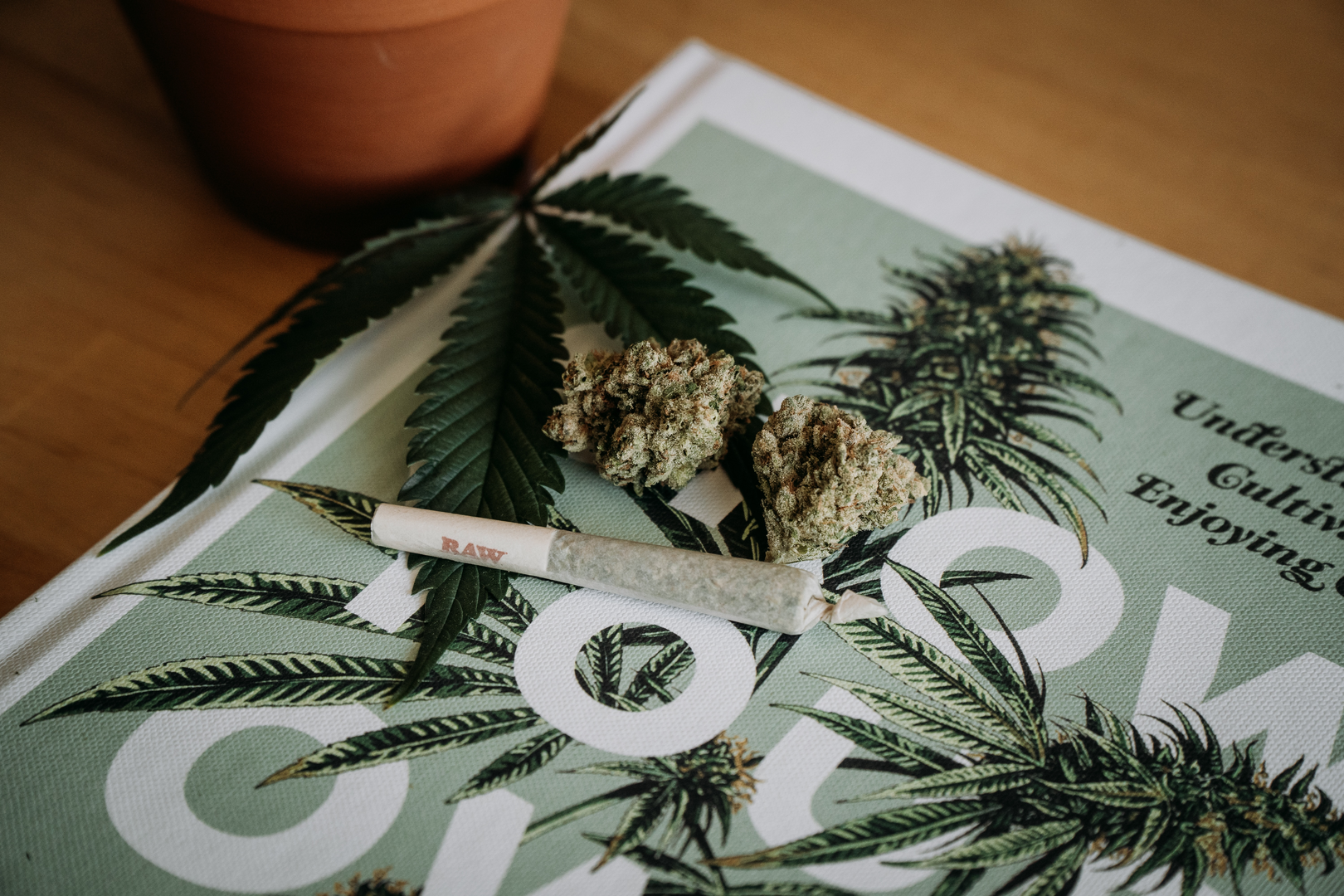 Cannabis Joint

Tag: Shelby Ireland or @canna.beee if you decide to use! | © Unsplash / Shelby Ireland