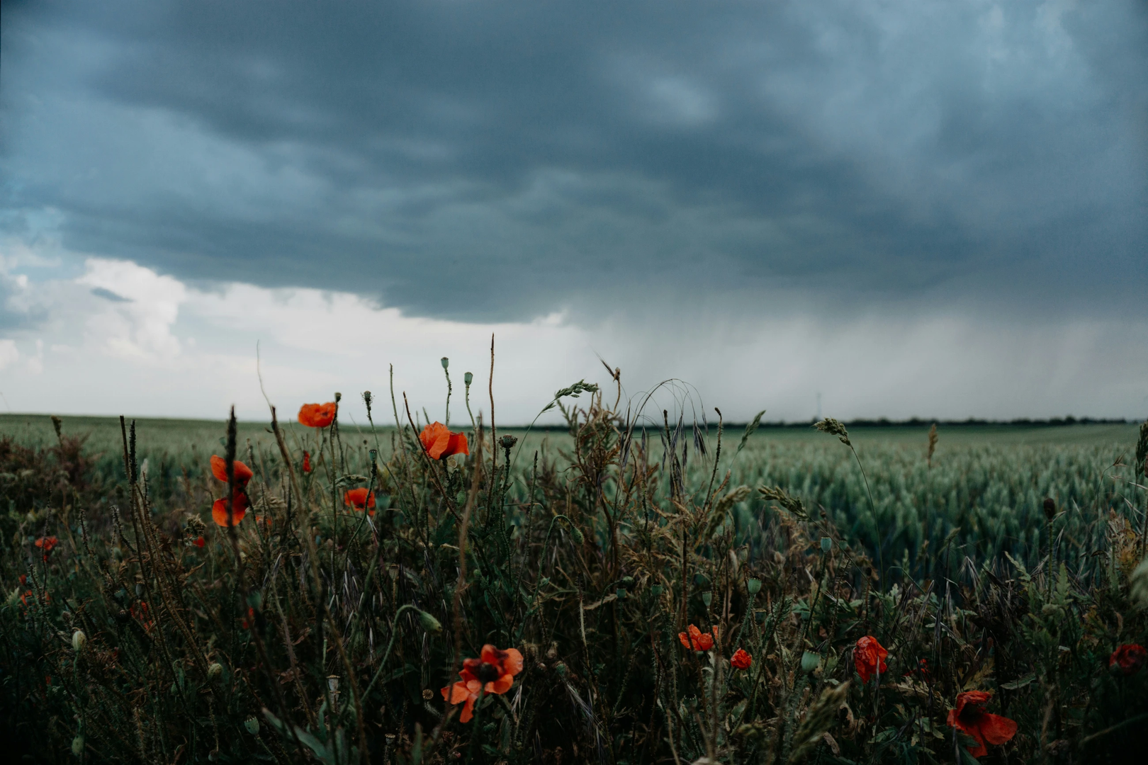 © Unsplash / Marina Reich