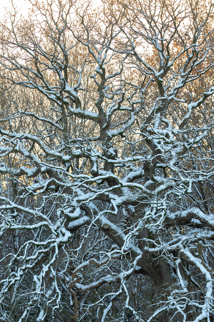 © Unsplash / Marvin Radke