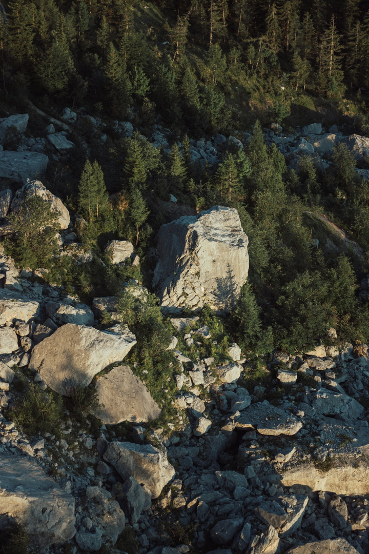 © Unsplash / lena Enz