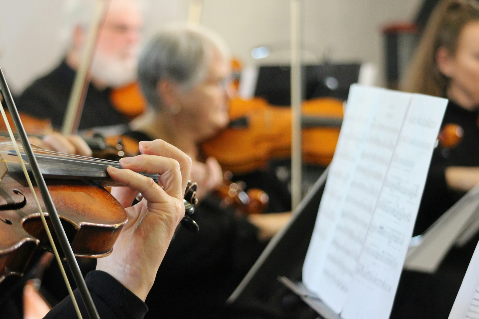 © Unsplash / Luisa Wachsmuth