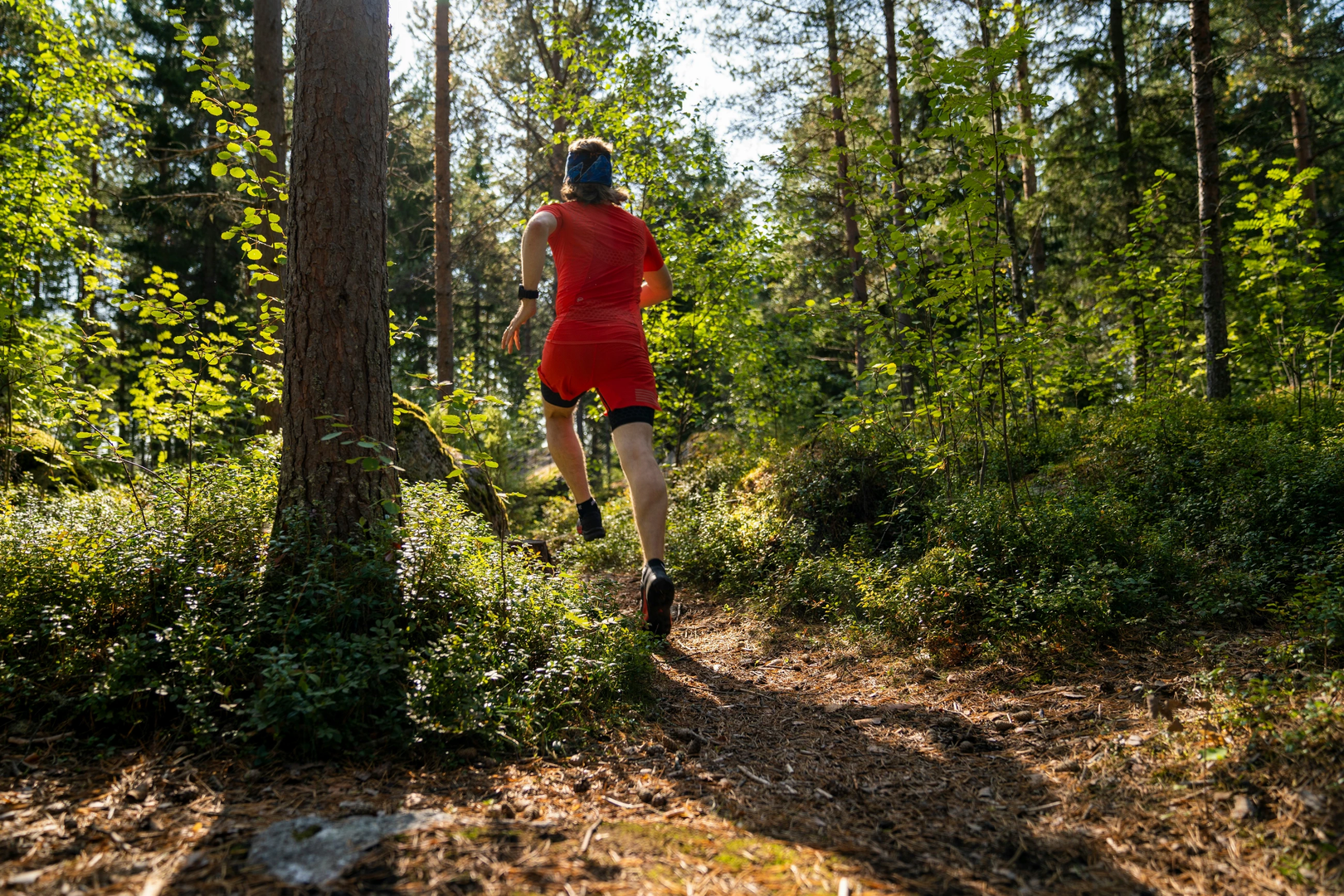 Trailrunning on soft forest trails. | © Unsplash / Hendrik Morkel