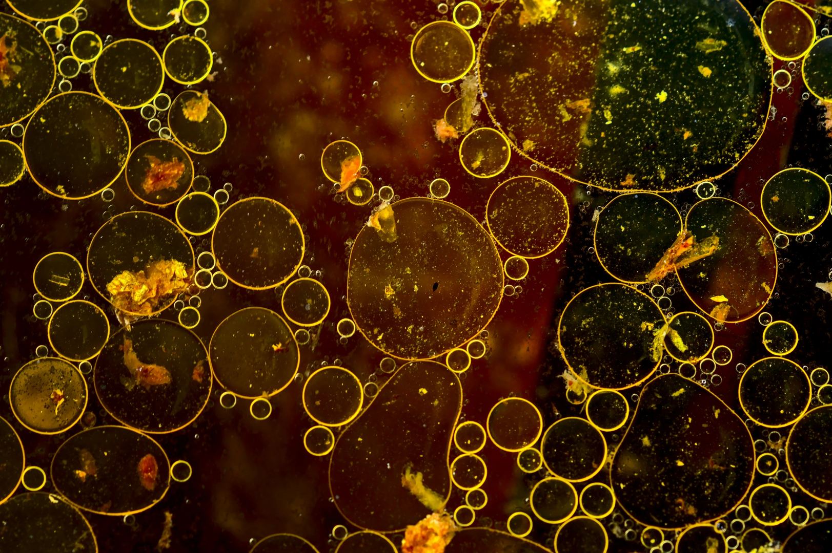 Cooking oil bubbles | © Unsplash / pisauikan