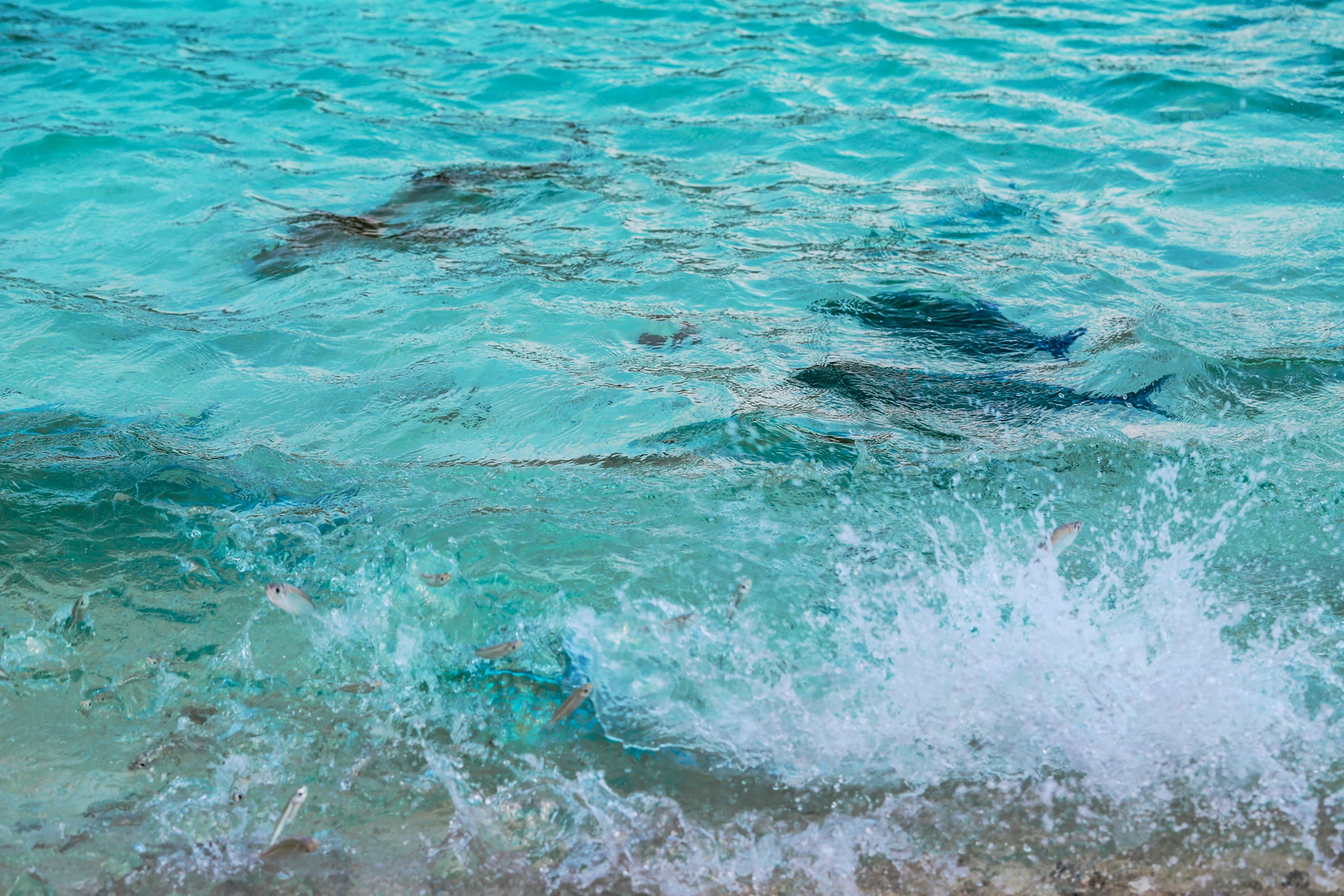 © Unsplash / MARIOLA GROBELSKA