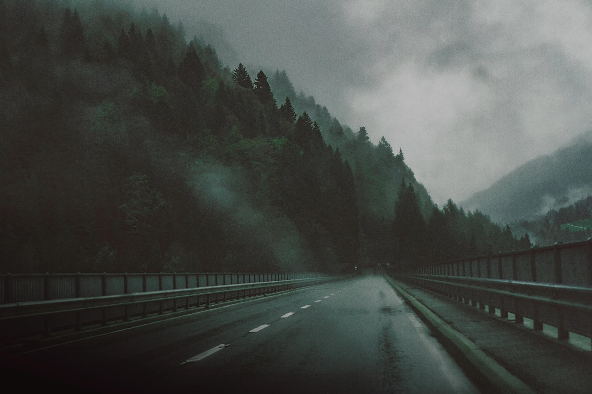 Road by the dark woods
