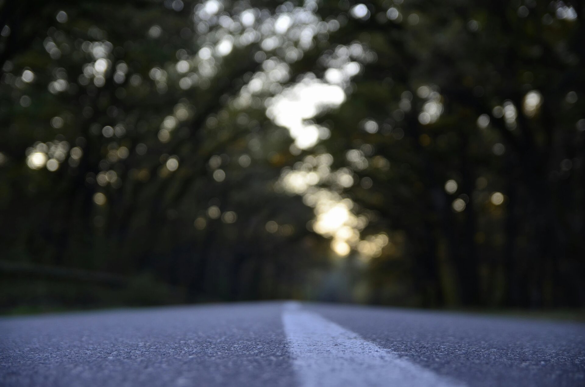 Asphalt road surface