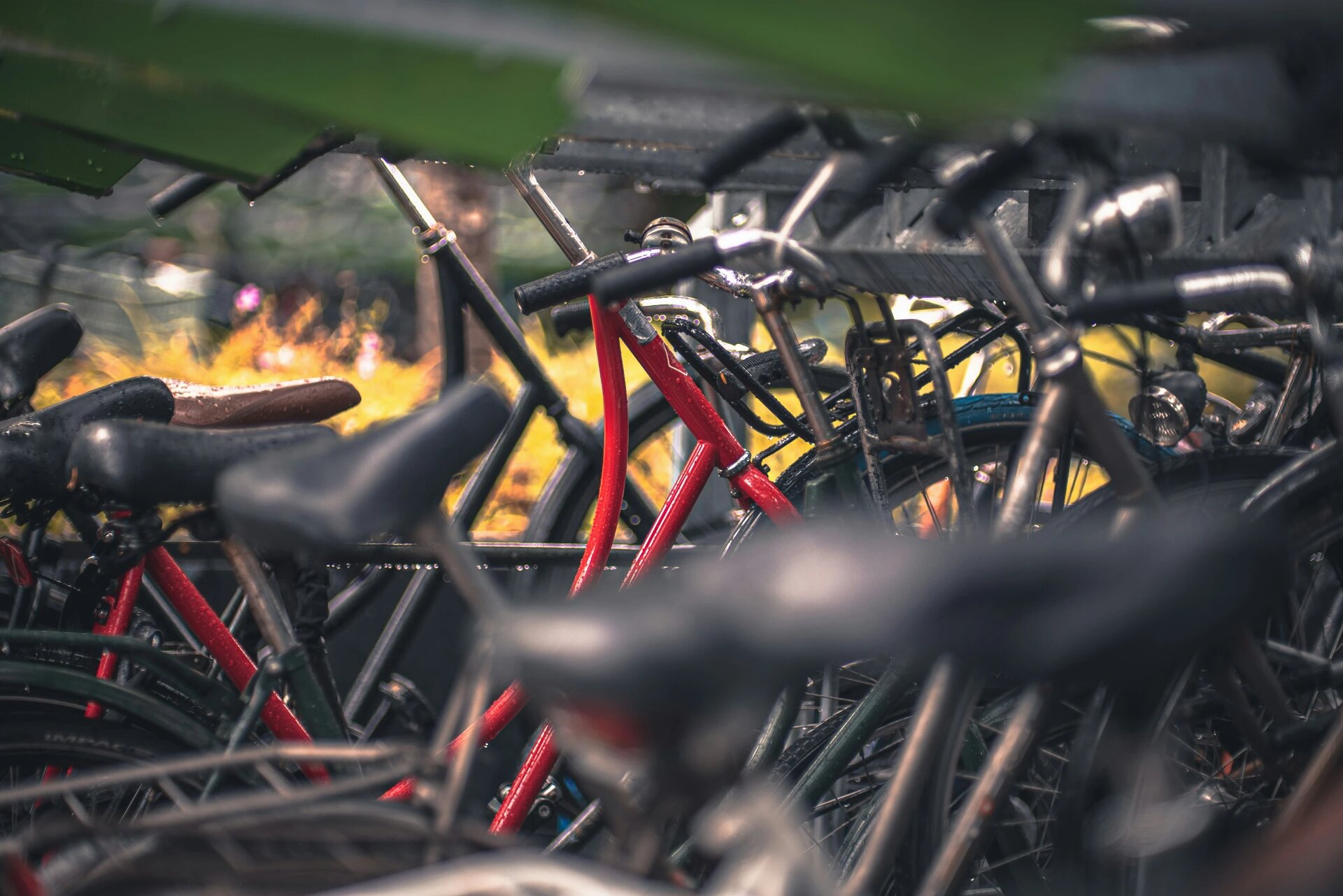 The bike parking spaces in Rotterdam are really crowded and used by thousands of citizens! 
