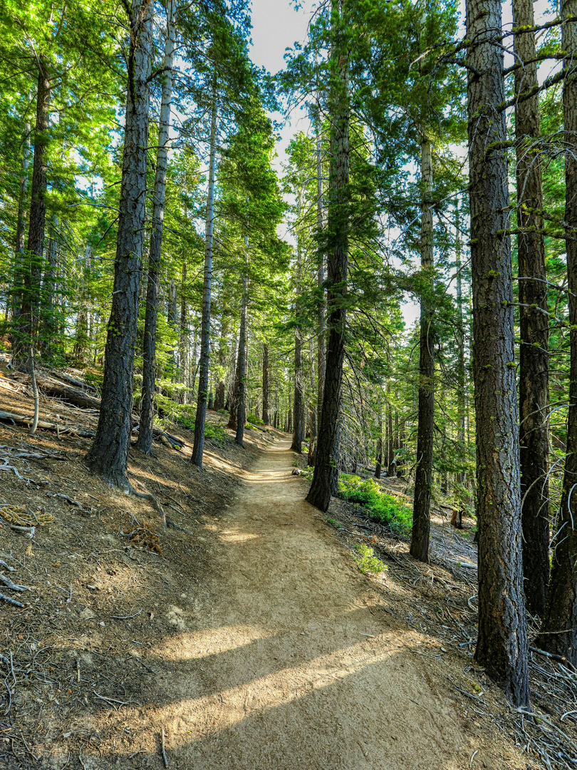 An awesome trail right along the edge of Lake Tahoe with most spots along the way having a nice view of the lake. | © Unsplash / Mick Haupt