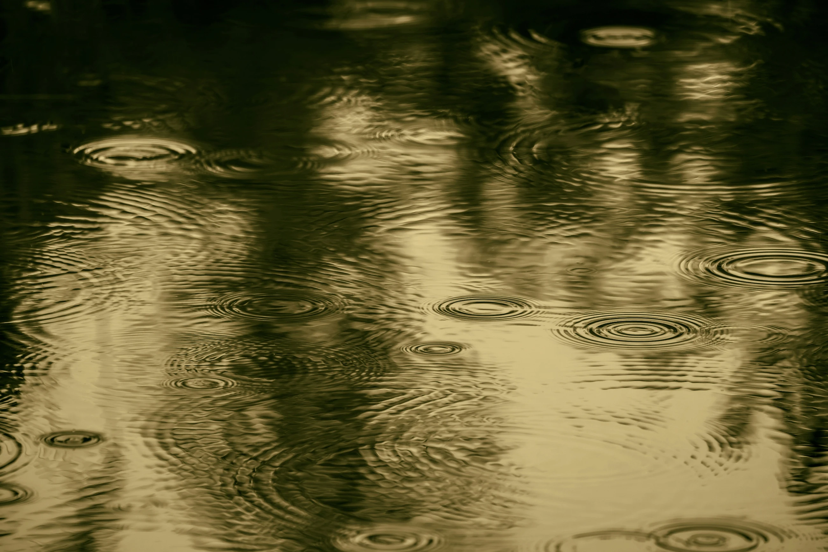 An einem Teich bei Regen! | © Unsplash / Ilona Frey