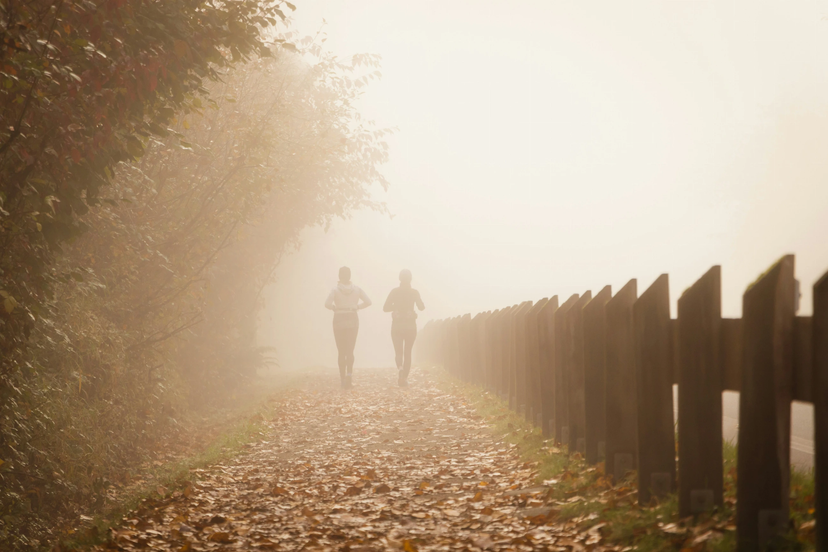 two female friends jogging on a foggy autumn trail away from the camera | © Unsplash / Greg Rosenke