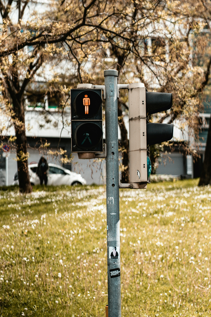 © Unsplash / Marcel Strauß