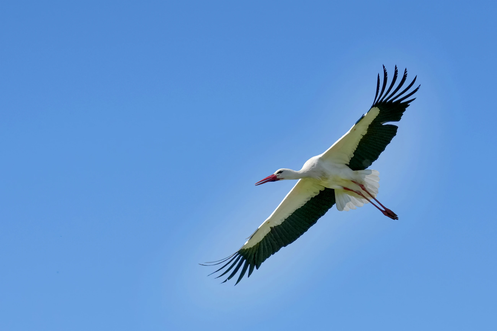 © Unsplash / Markus Kammermann