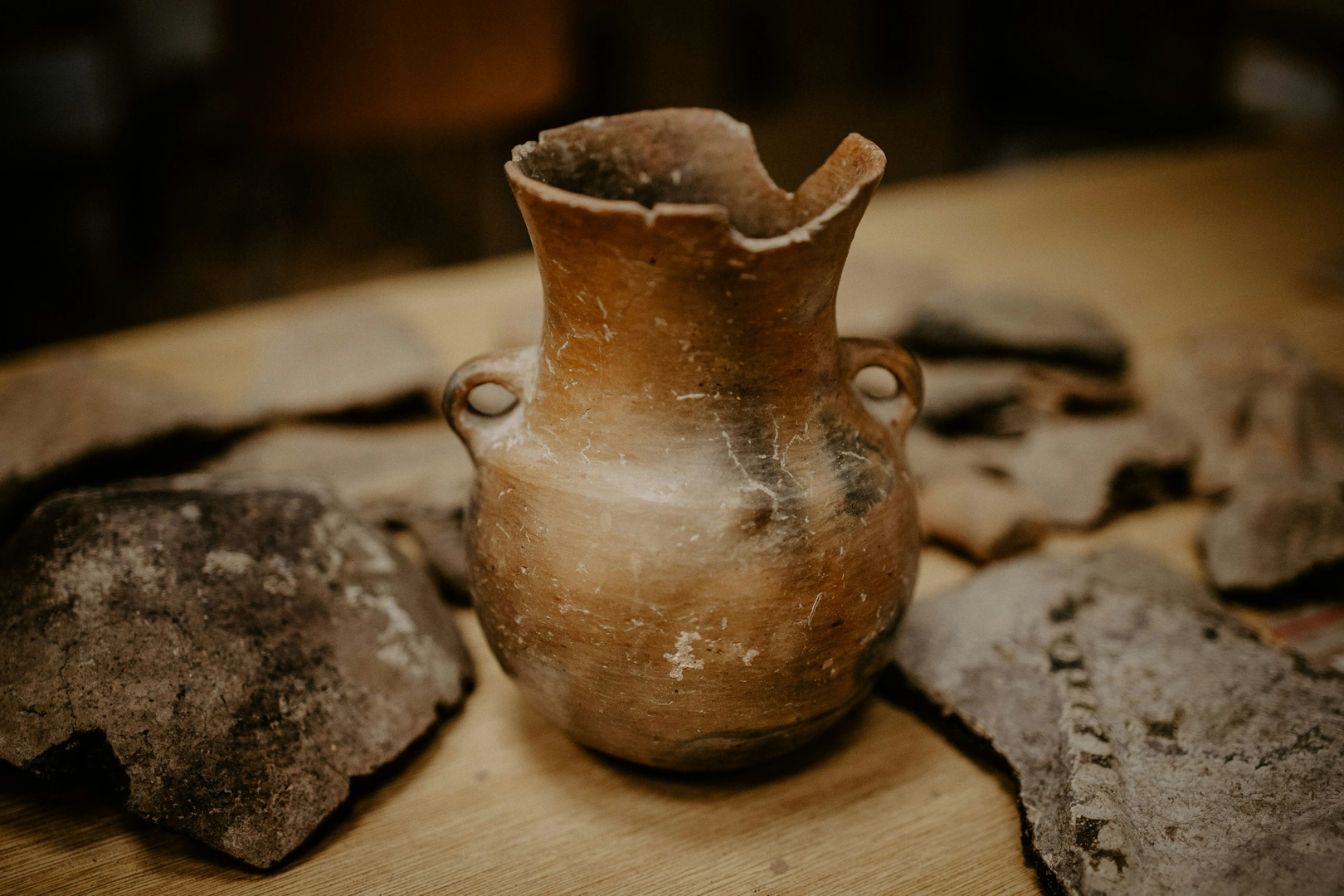 Skillful students from the Department of Classical Archeology, Faculty of Arts, Trnava University in Trnava, document artifacts and process field documentation. | © Unsplash / Trnava University