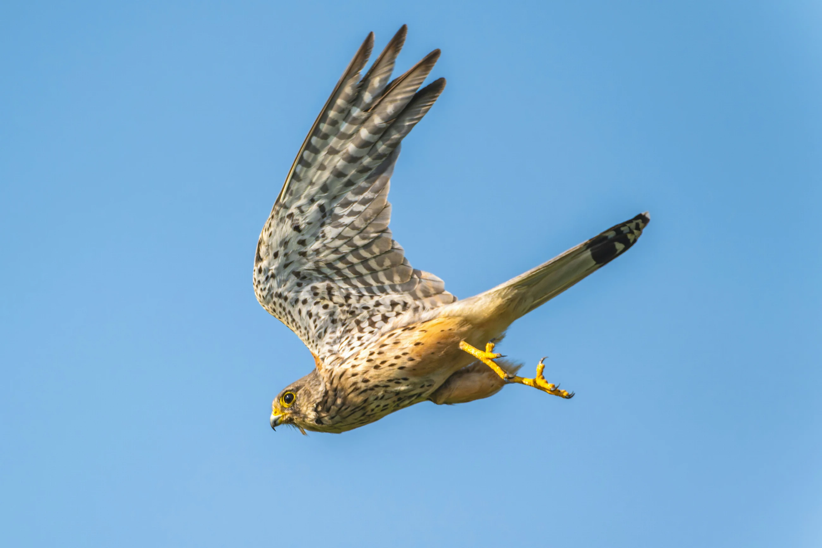 © Unsplash / Siegfried Poepperl