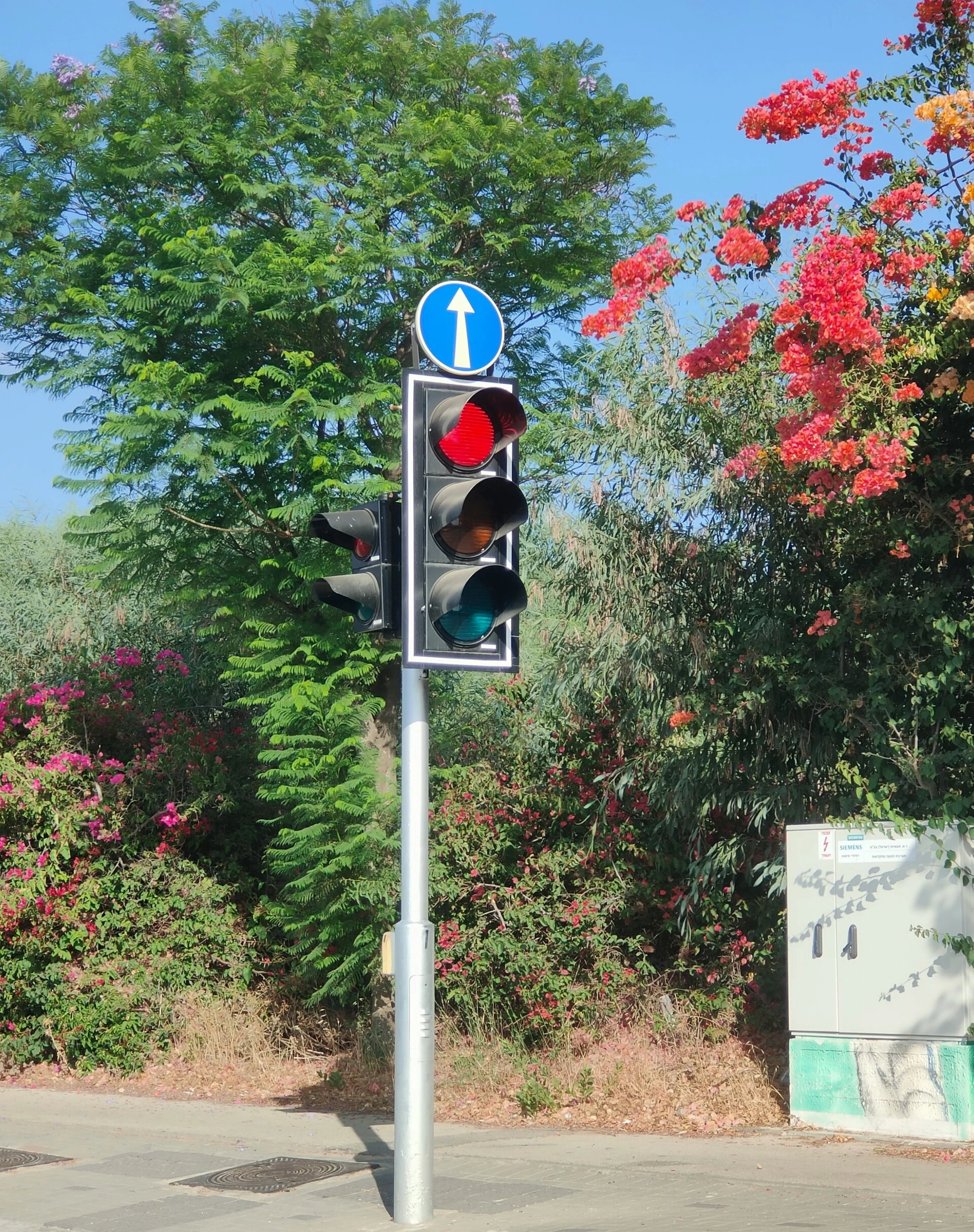 A traffic light post shining red