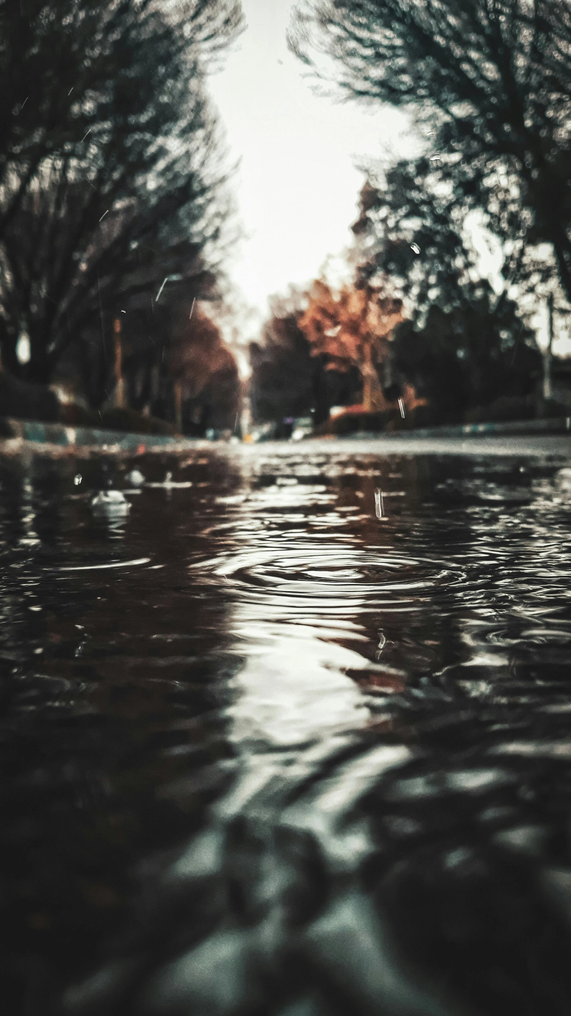 #rain 
raining autumn
Fall