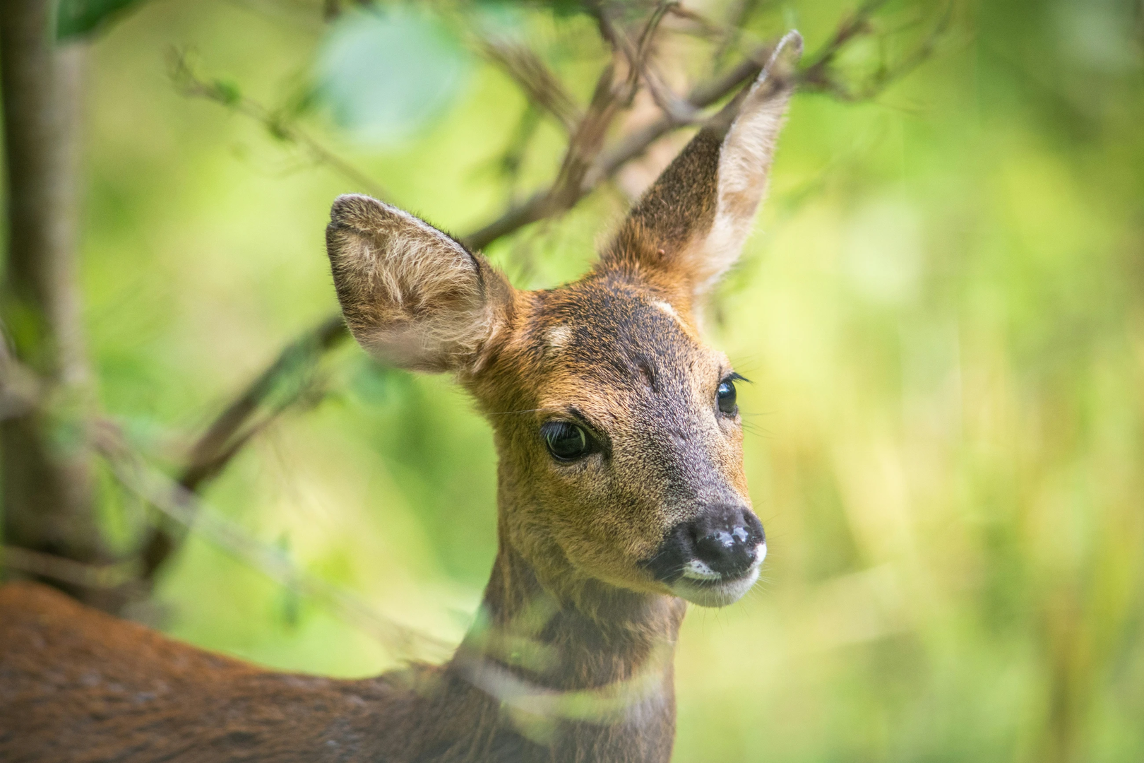 © Unsplash / Doncoombez